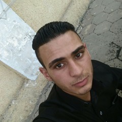 محمد البحيري