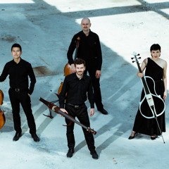 Arcis Cello Quartett