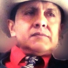 Jose luis Gutierrez Salgado.