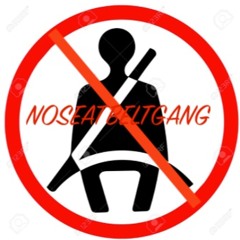 NOSEATBELTGANG