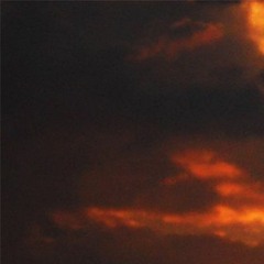 hoemogenic 4 [PLS FOLLOW]