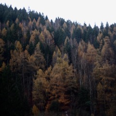 berild