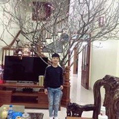 thắng dolce