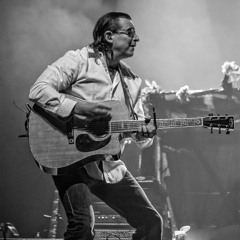 The Larry Stevens Band