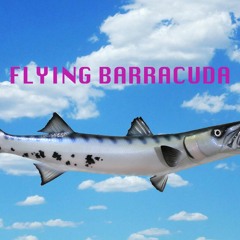 Flying Barracuda