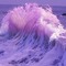 ranneom