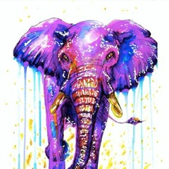 Last Great Elephant