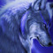 Night Wolf A&G