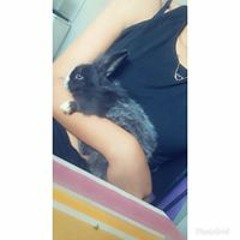 aa