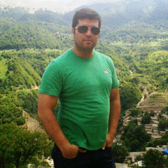Mohamad Salimi