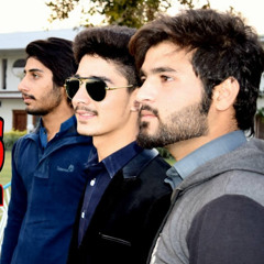 Peshawar Vines