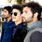 Peshawar Vines