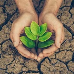 Save The Nature🌿