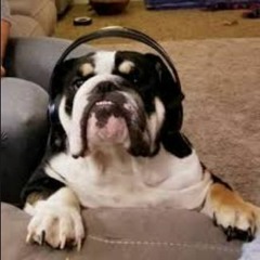 DJ Bulldog