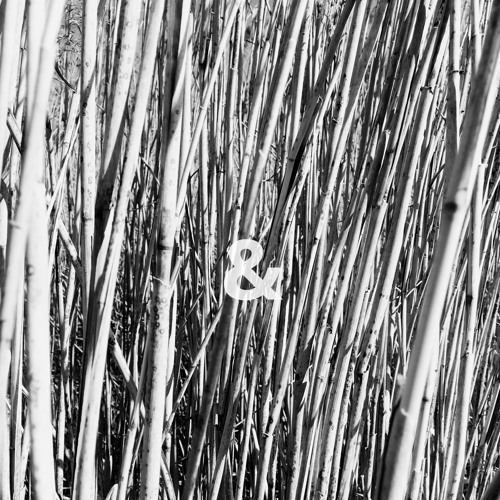 Stream trees&leaves music | Listen to songs, albums, playlists for free ...
