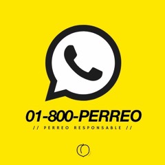 01-800-PERREO