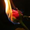 Roze