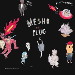 MeshoThePlug