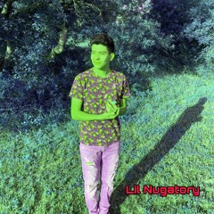 lil Nugatory