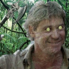 The Ghost of Steve Irwin
