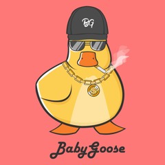 BabyGoose