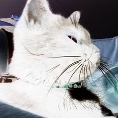 DJ DÖ₦₦Ⓐ ⓁØɄᵉ