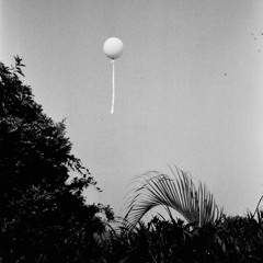 Jimi Tsang