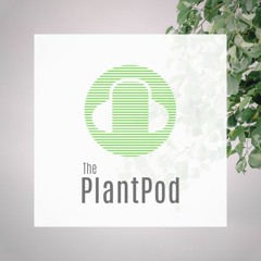 The Plant Pod