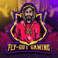 Fly-Guy Gaming Music