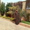 mohamed mostafa