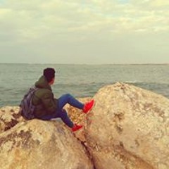 Anas