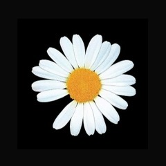 Kid sings Suicide by YNW Melly.mp3