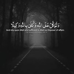 محمود شاهين