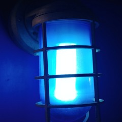 The Call It Anything