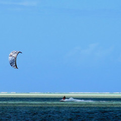 Mark Davidge - Pitts