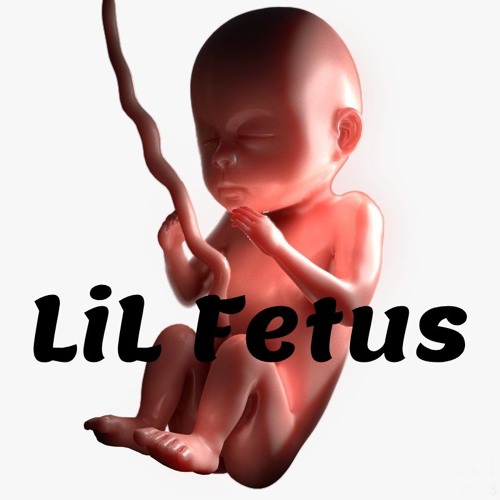 Stream Lil Fetus Music Listen To Songs Albums Playlists For Free On