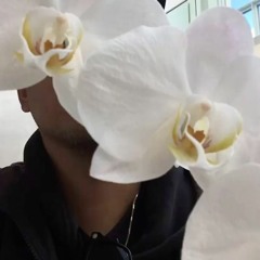 JONAPOLLO