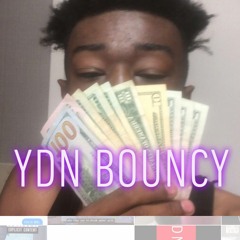 YDN Bouncy