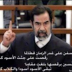 Mohamed Bakr Amer