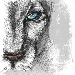 Hide&Seek/ Peter Sharp