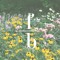 fuchi_beats
