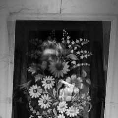 The World is Quiet here