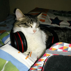 DORIAN WELCH - STUDENT