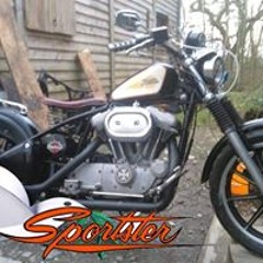 sportster3