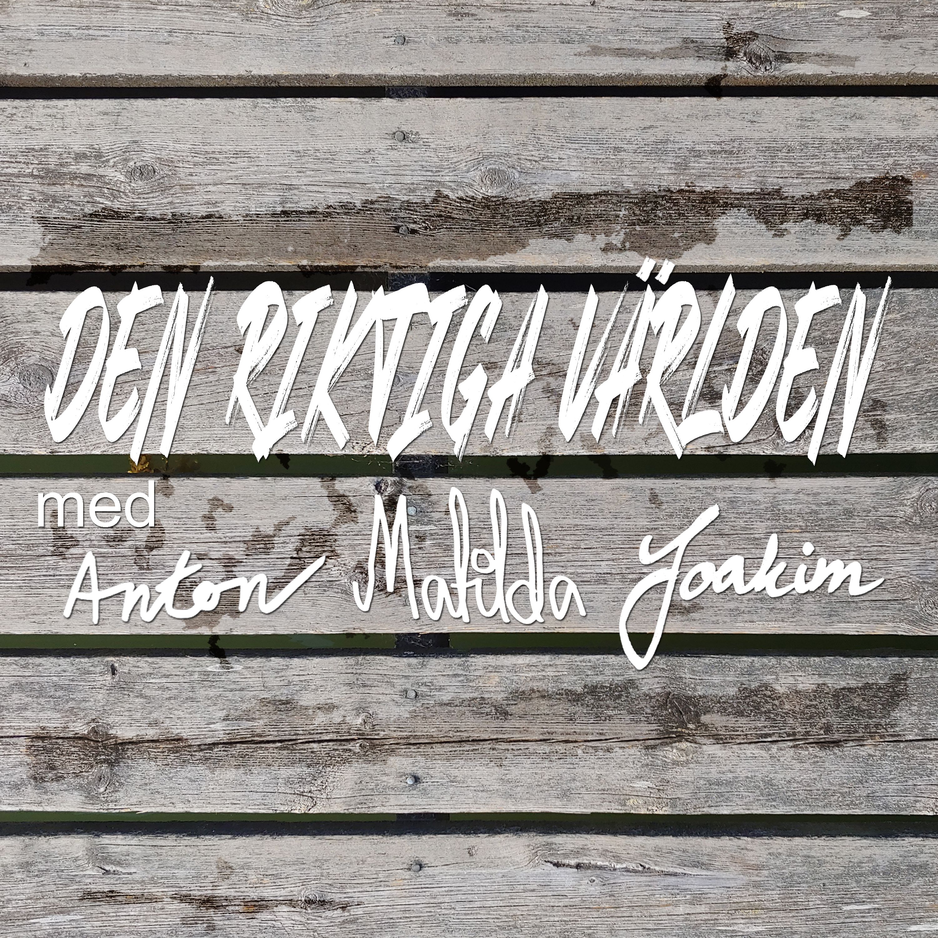 Den Riktiga Världen