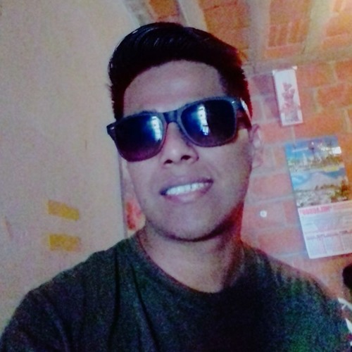 William Romero Mendoza’s avatar