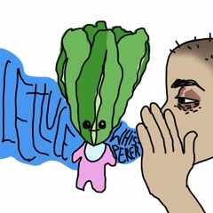 🌃N I G H T    L I G H T S🌃