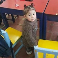نور الشمس