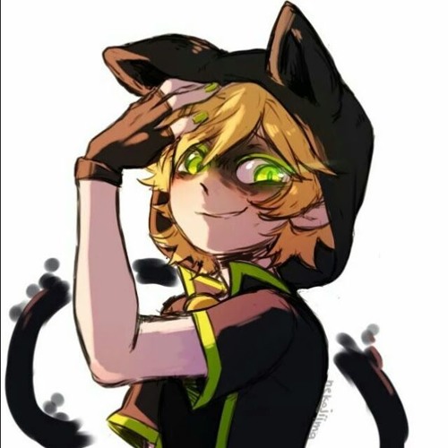 lilly aizawa’s avatar