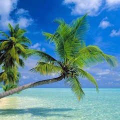 TheCoolestDJinTheWorld